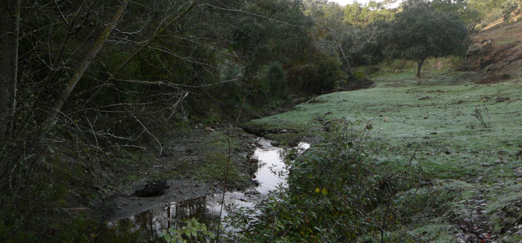 arroyo-ruta-sierra-aracena