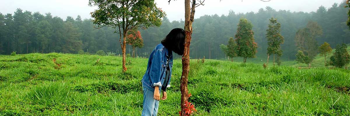 Reducir estrés post-vacacional con naturaleza