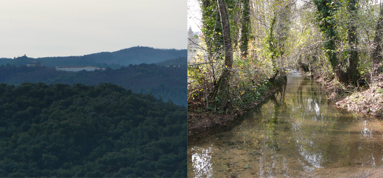 sierra-huelva-casa-rural-ruta
